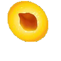 Mangue1