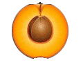 Abricot1