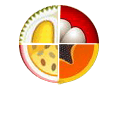 Cocktail Tropical1
