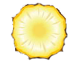 Ananas1