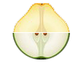 Pomme Poire1