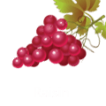 Raisin1